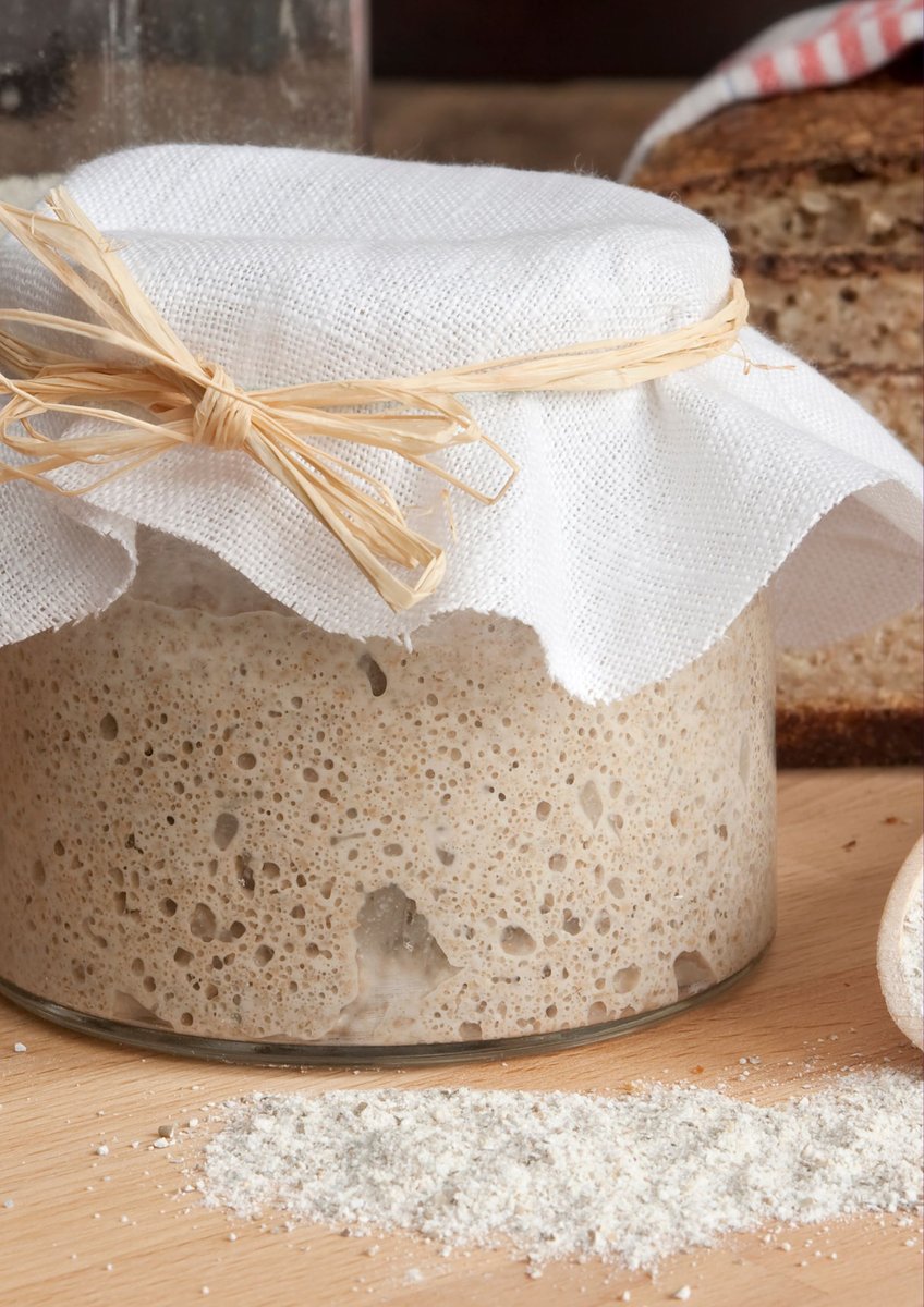 Técnicas de elaboración de Masa Madre, sin gluten, de einkorn y con medio ácido desde cero, su paso a paso y su debido mantenimiento.